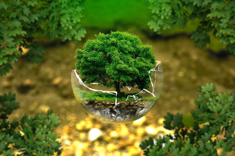 The Good Earth