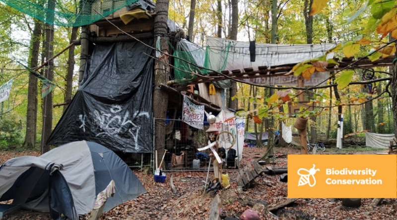 About Osterholz forest community