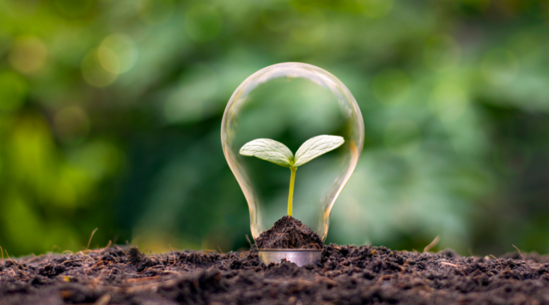 Carbon Negative Art, or How to Make Art Sustainable?