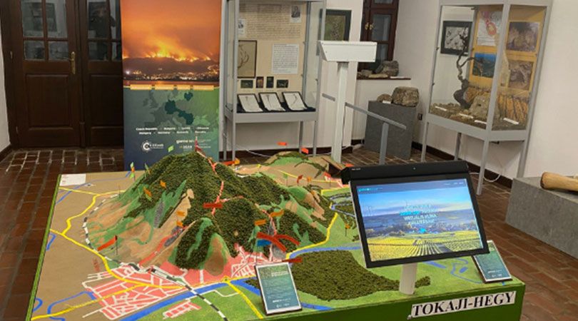 Museum Exhibitions