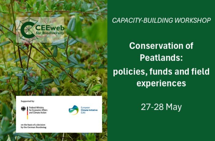 Conservation of Peatlands: Policies, funds and field experiences