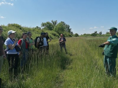 Don’t Beat Around the Peat